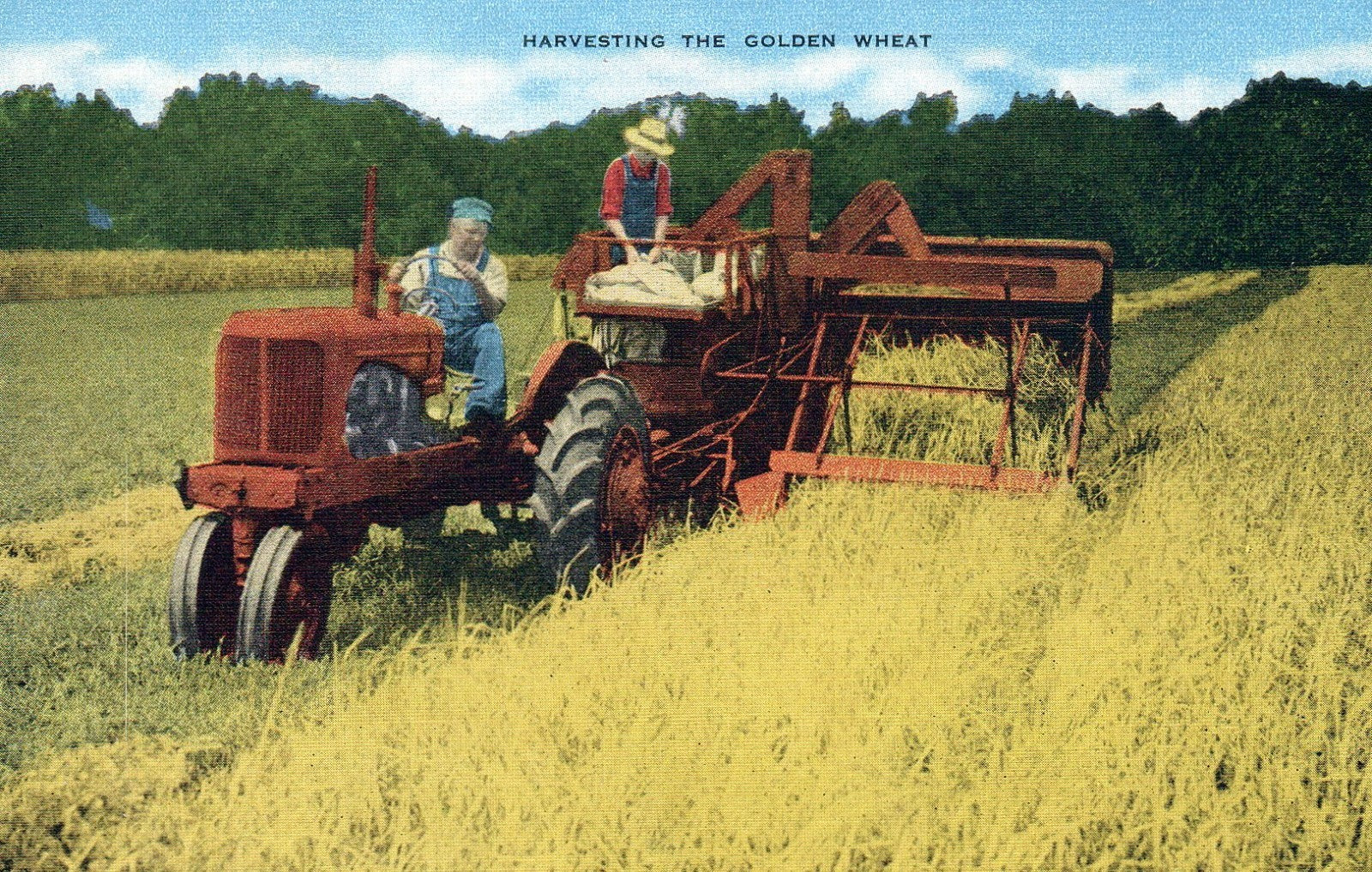 "Harvesting the Golden wheat" Tractor Vintage postcard