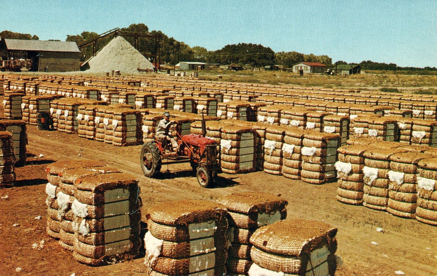 Bales of cotton with a cotton gin and Tractor in background Vintage postcard