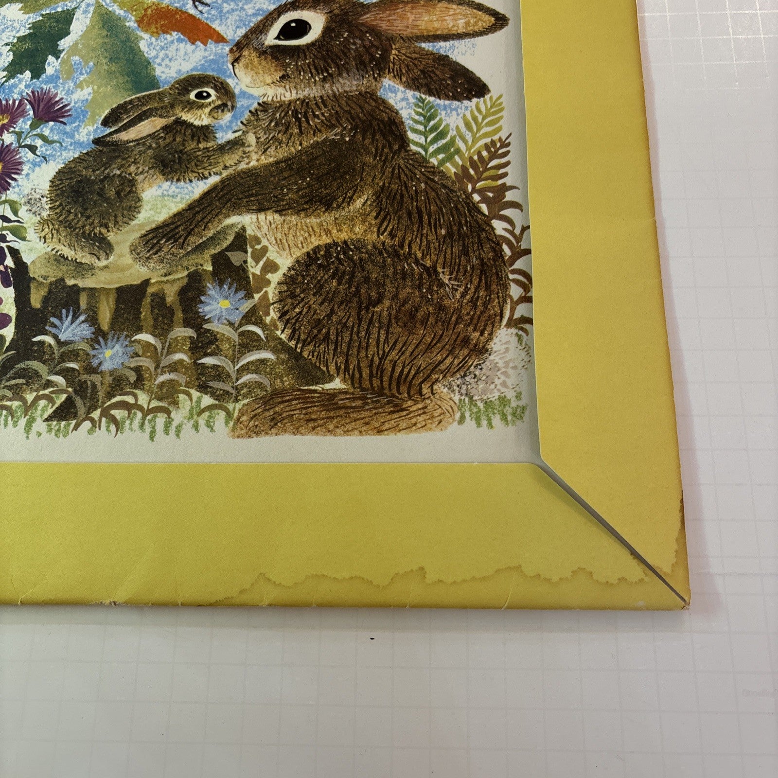 Six (6) Farm Animals Decorative Prints Penn 1958 Leonard Weisgard Yellow Folio