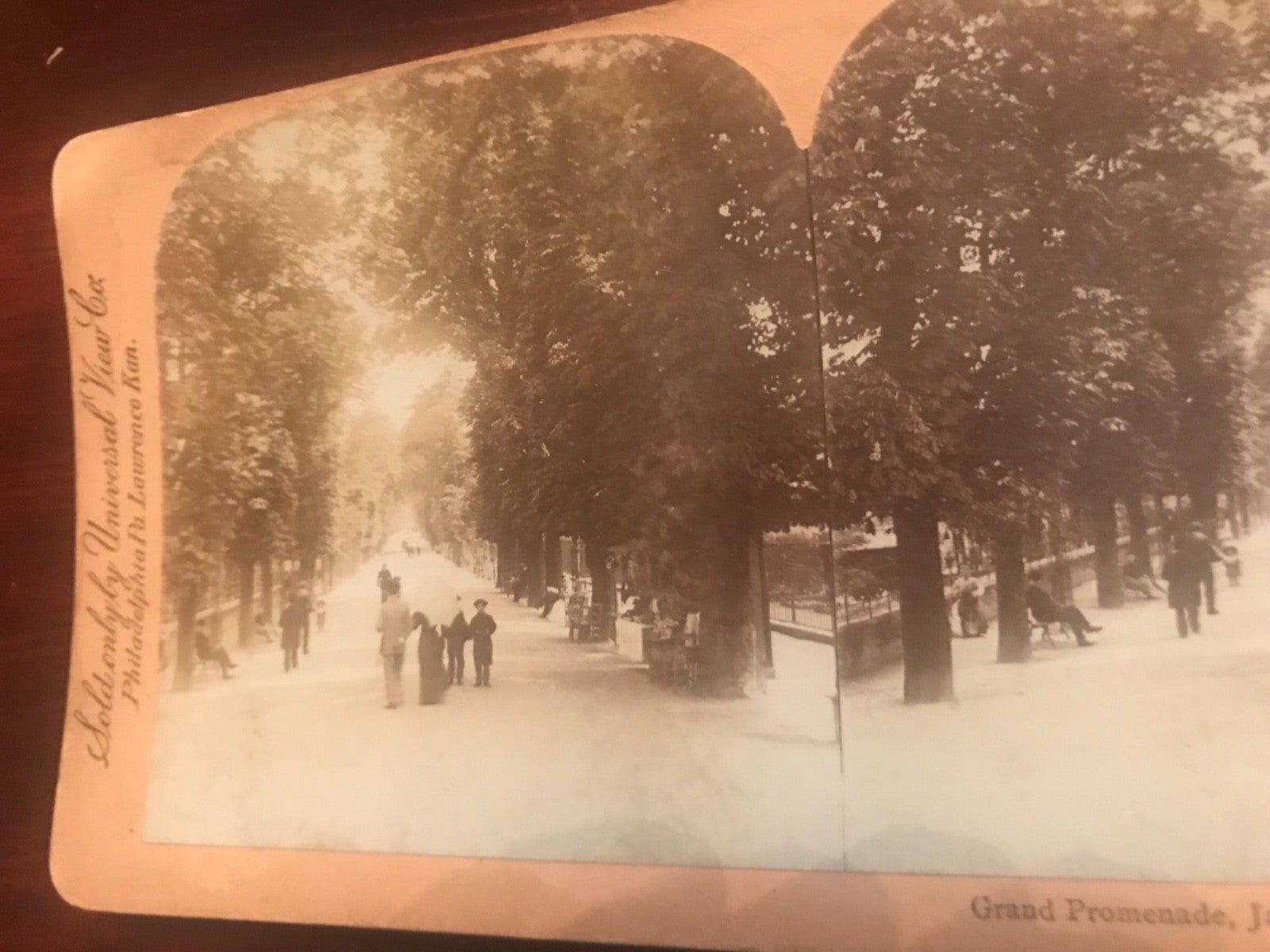 Real photo stereoview Great Promenade Jardin does Tuileries Paris France