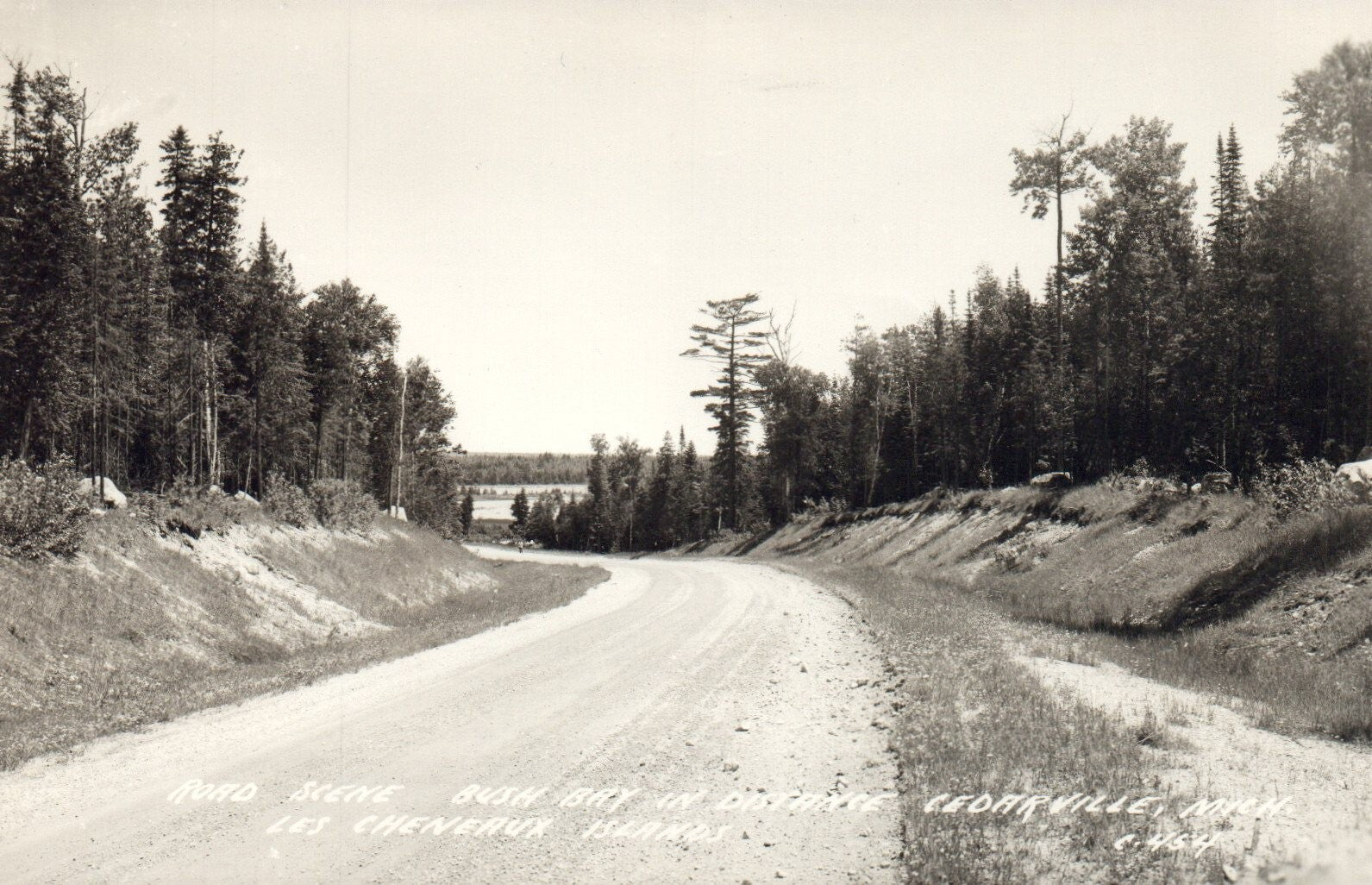 Cheneaux Islands Bush Bay in Distance Cedarville MI Michigan Mich Postcard
