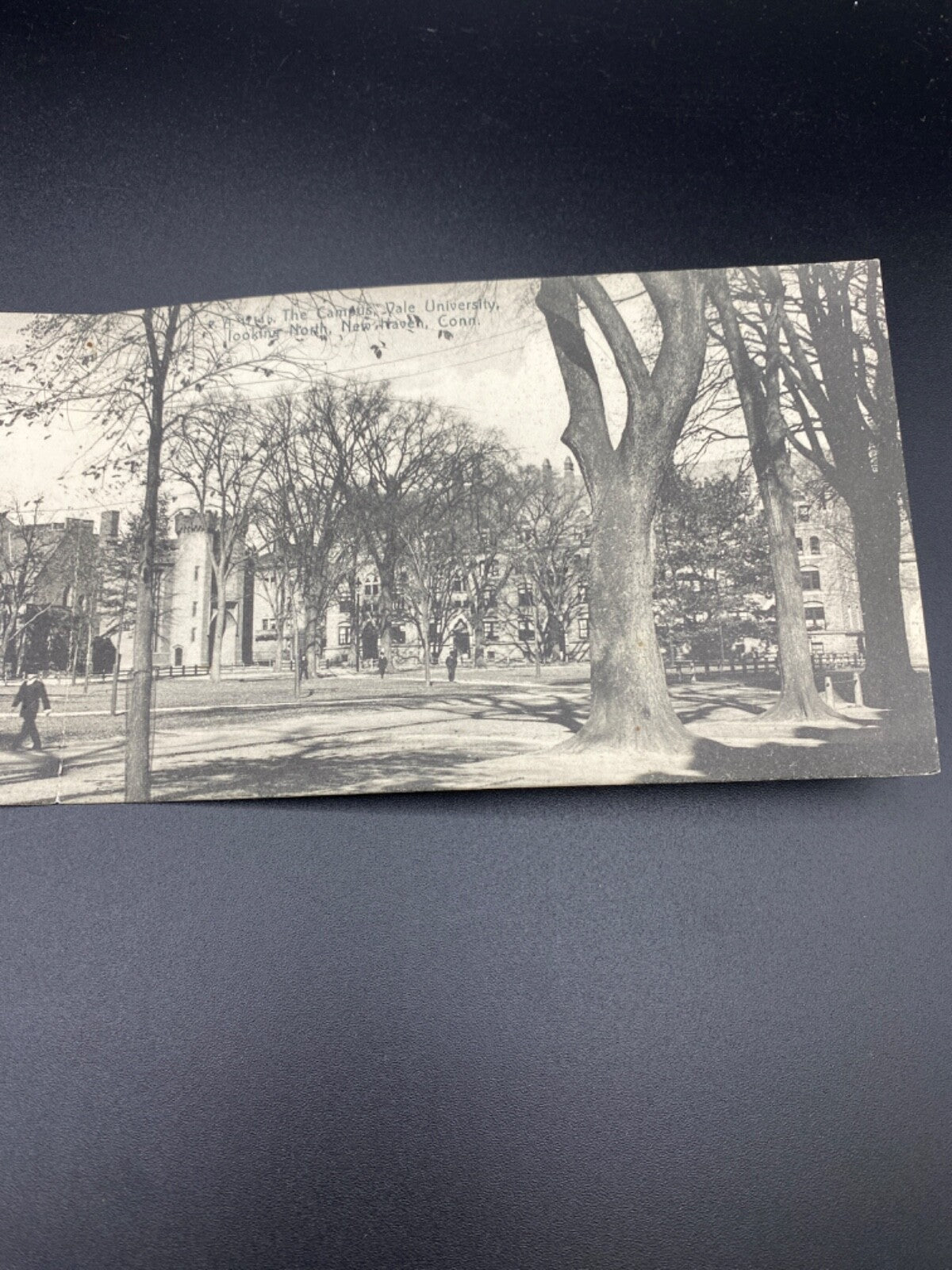 Rare PANORAMIC - 2 card The Campus Yale University New Haven Connecticut CT