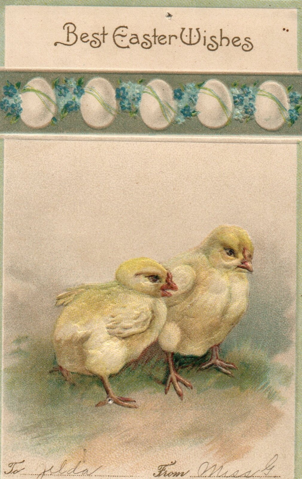Embossed Forget Me Not Flowers and Chicks  Easter Greetings Postcard 