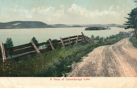 A View Of Canandaraga Lake Scenic View New York NY Postcard
