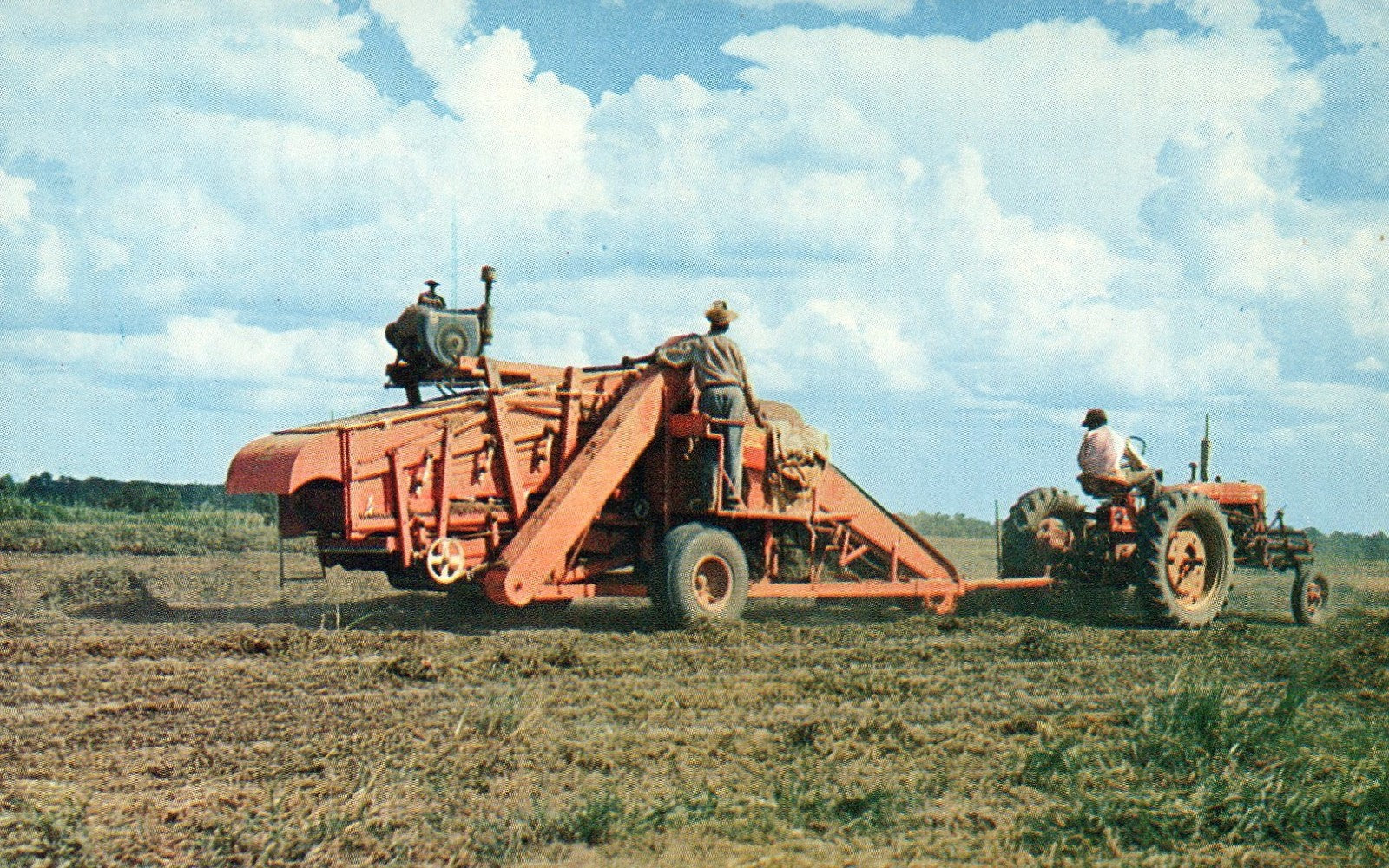 Mechanical Peanut Picker Tractor Vintage postcard
