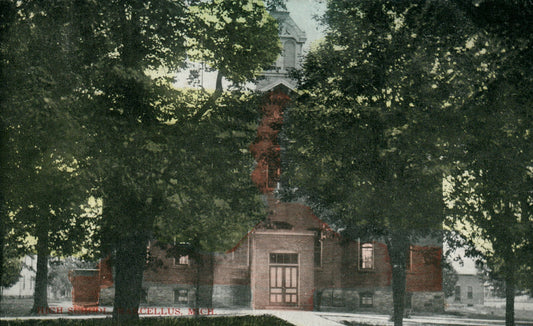 1909 Real Photo High School Marcellus Michigan MI Postcard 