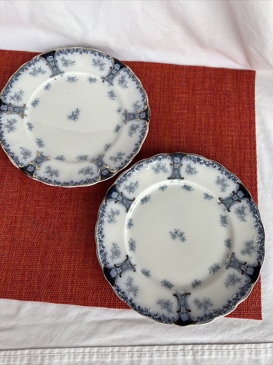2 Retired J& G Meakin Hanley England Flo- Blue 7.5” salad Plates- 1907