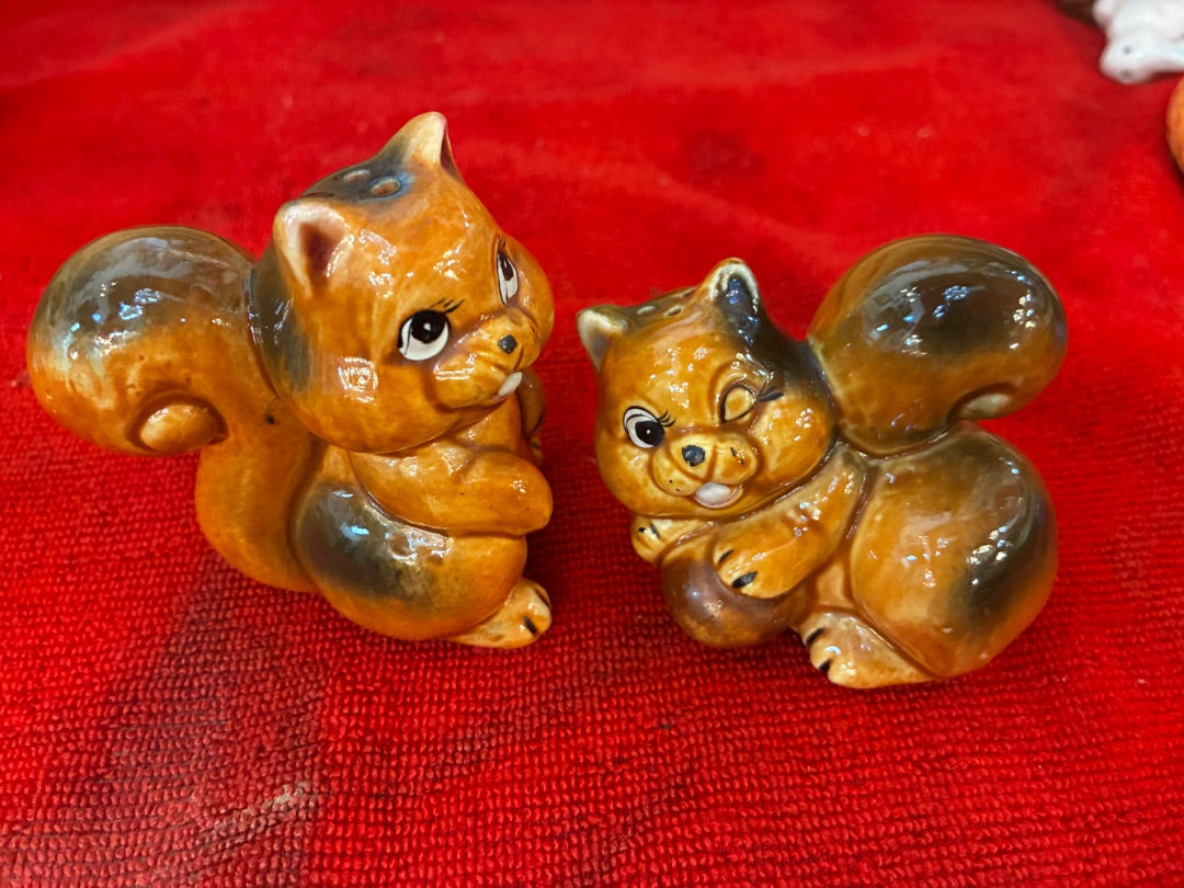 Squirrel shakers