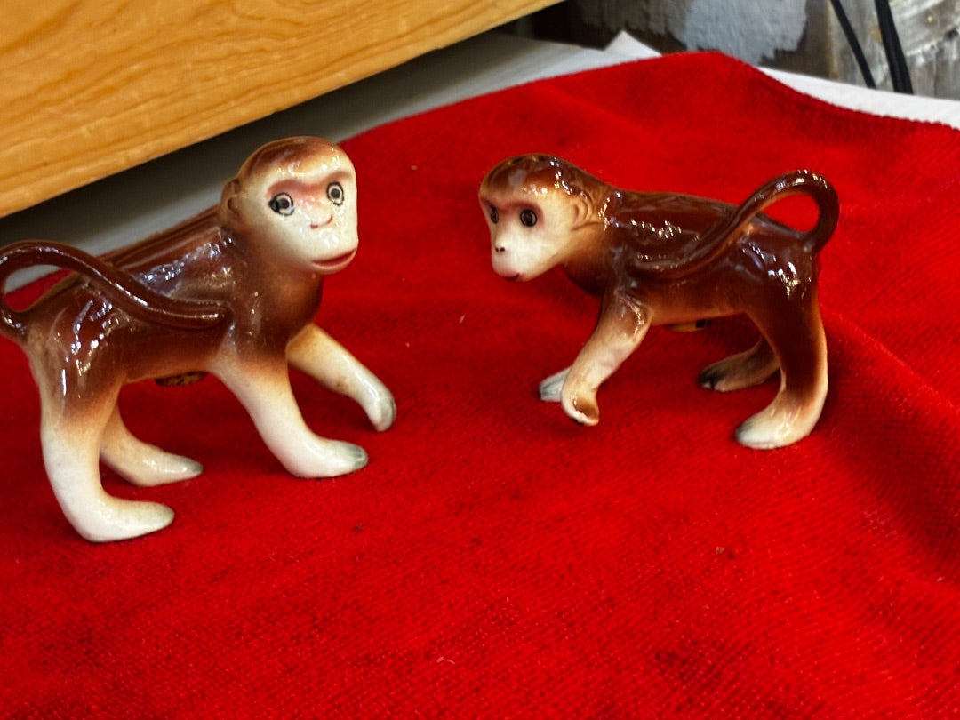 Monkey shaker