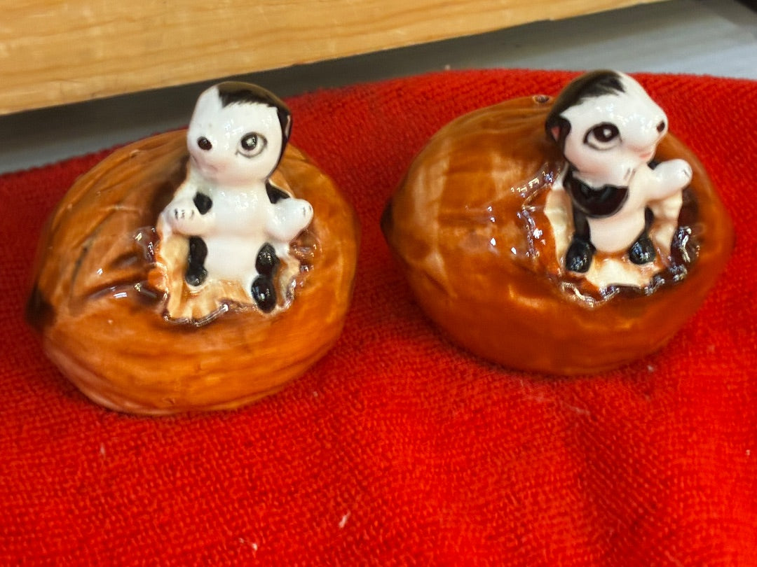 Squirrel in nuts