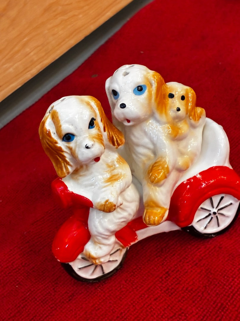 Dogs on bike