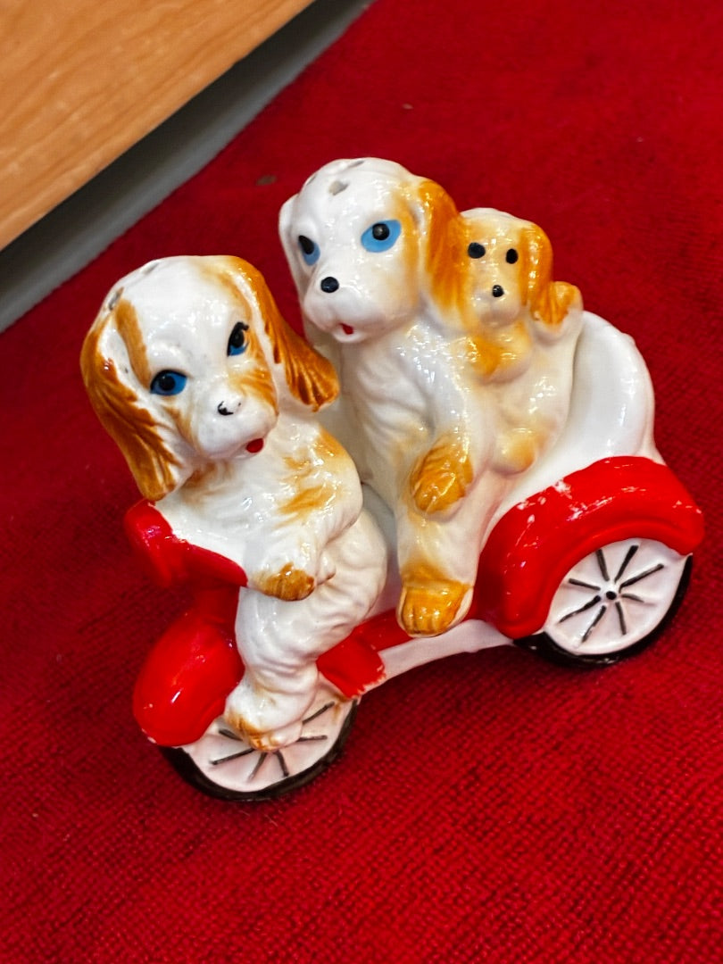 Dogs on bike