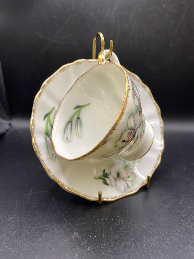 Teacup & Saucer
