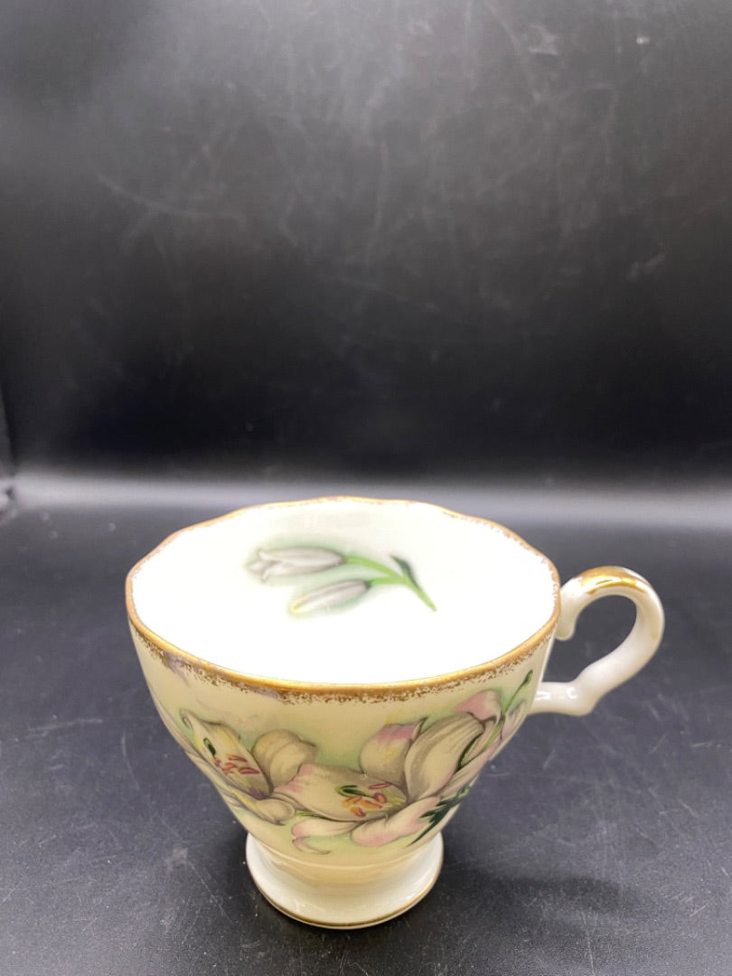 Teacup & Saucer