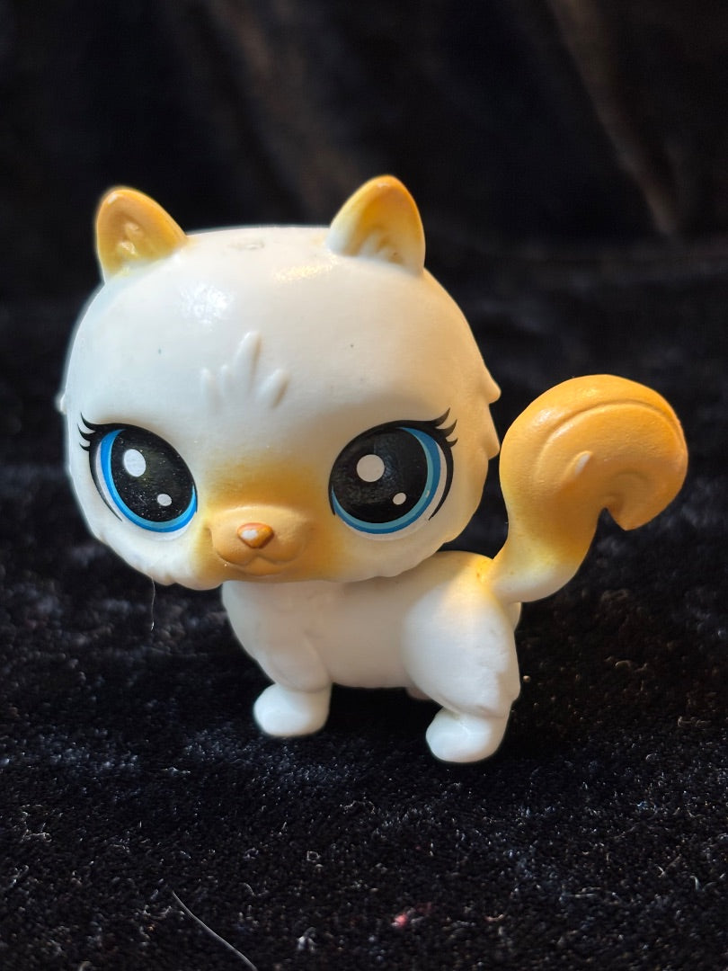 LPS HIMALAYAN CAT