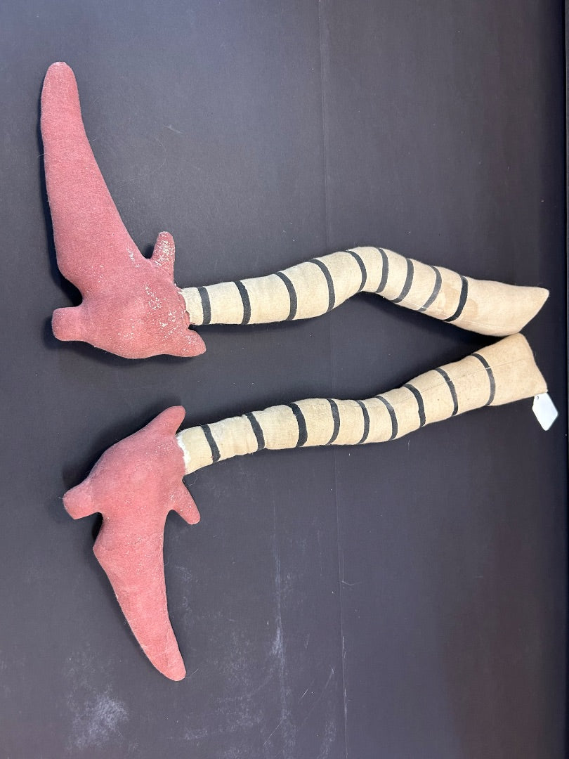 Witches legs