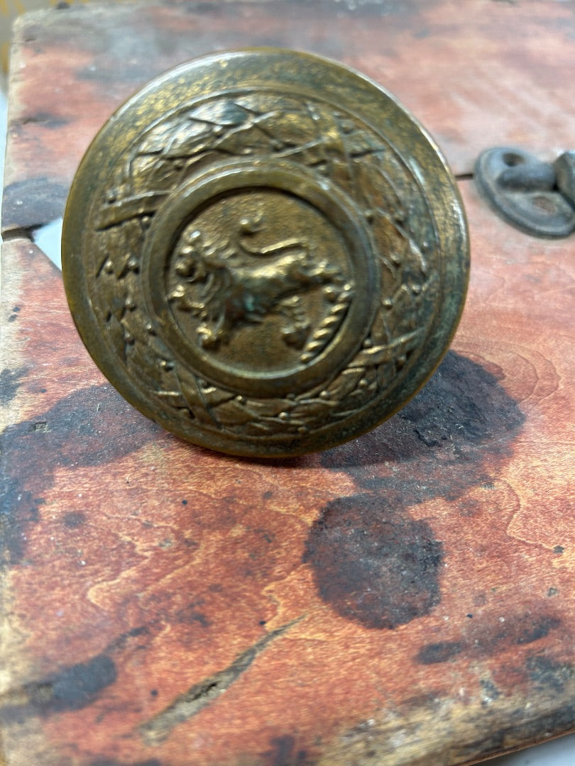 Rampant lion door knob