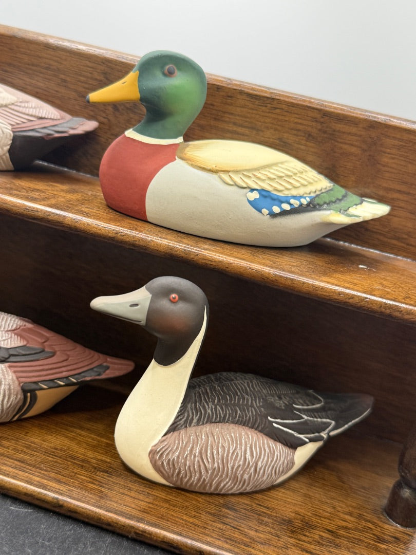 Avon Collector duck series x 6 w/shelf
