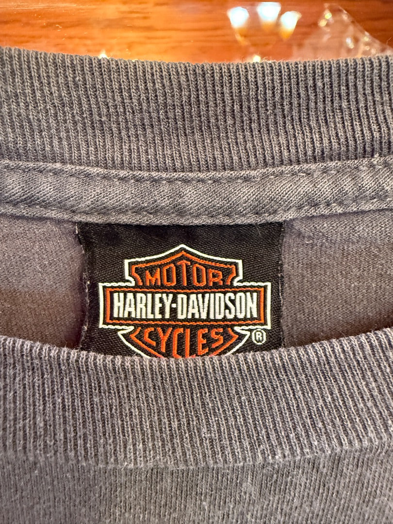 Vintage 90s/200s Harley Shirt