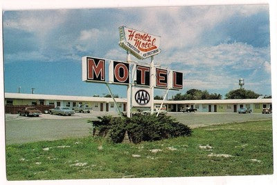 Harold's Motel Martin  SD South Dakota  Postcard Old Cars