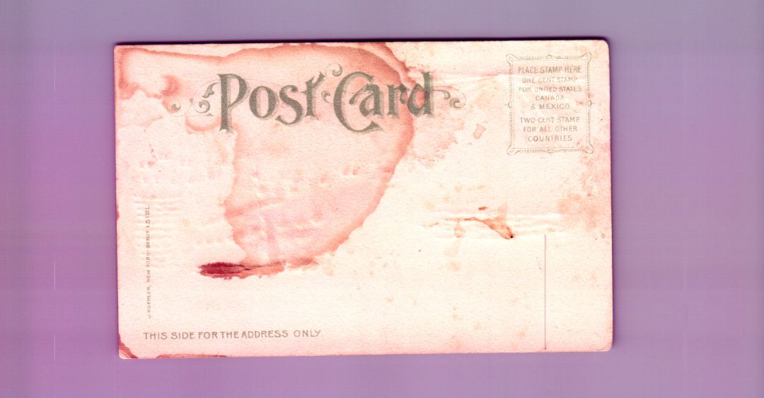 Statue Of Liberty, Bedloe's Island, New York Harbor HTL Hold to the Light postcard