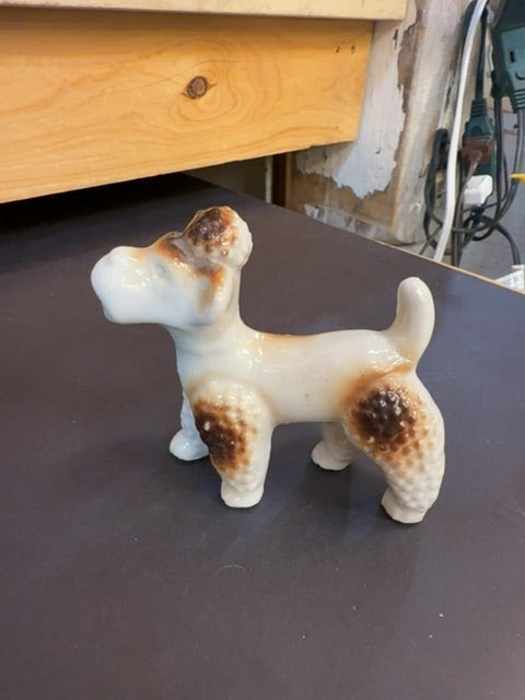 Vintage poodle