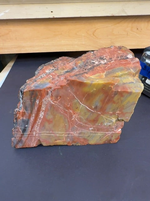 Arizona Rainbow petrified wood