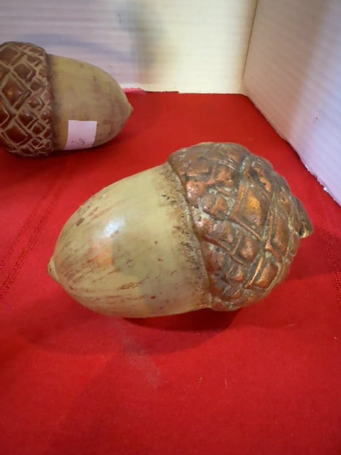 Acorn