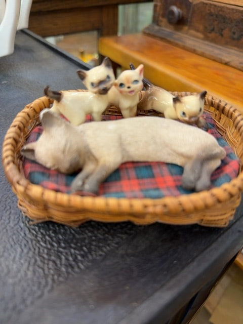 Cats