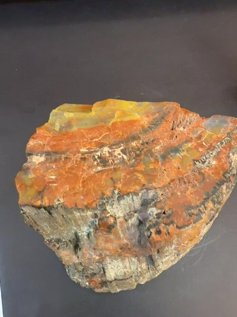 Arizona Rainbow petrified wood