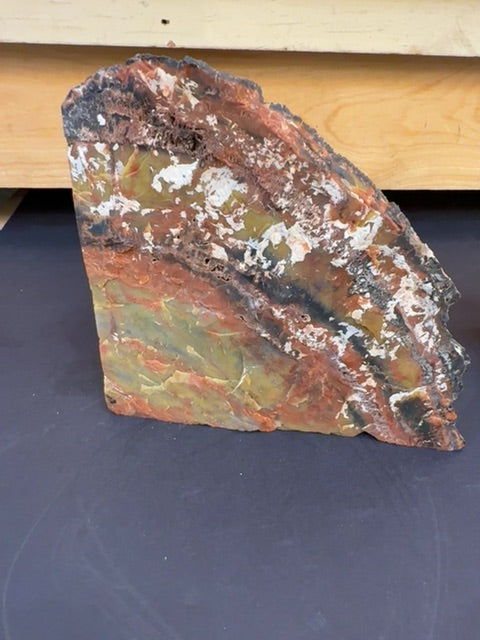 Arizona Rainbow petrified wood